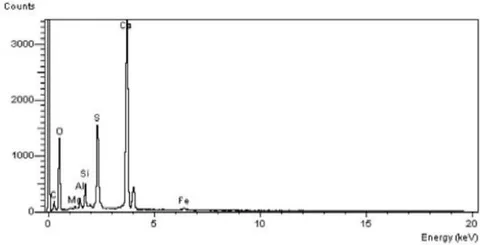 Figure 24: The chart of elements detectors, sample n. 11 which is close to sample n.10