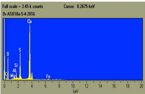 Figure 22: The diagram of elements detectors, in sample n.10.