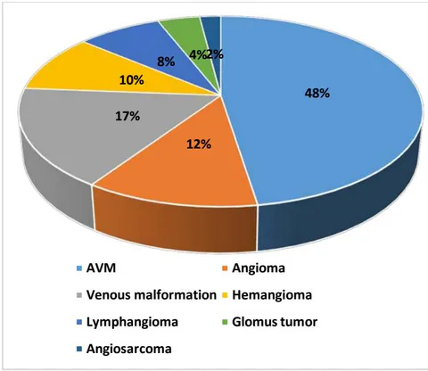 Figure 3: Ultrasound Data Combined with CT Angiography