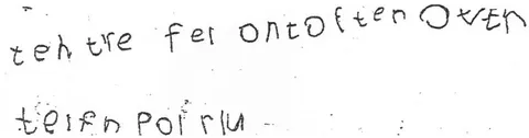 Figure 1a: William 5.2 years 'The tree fell on top of the other telephone pole wire.'