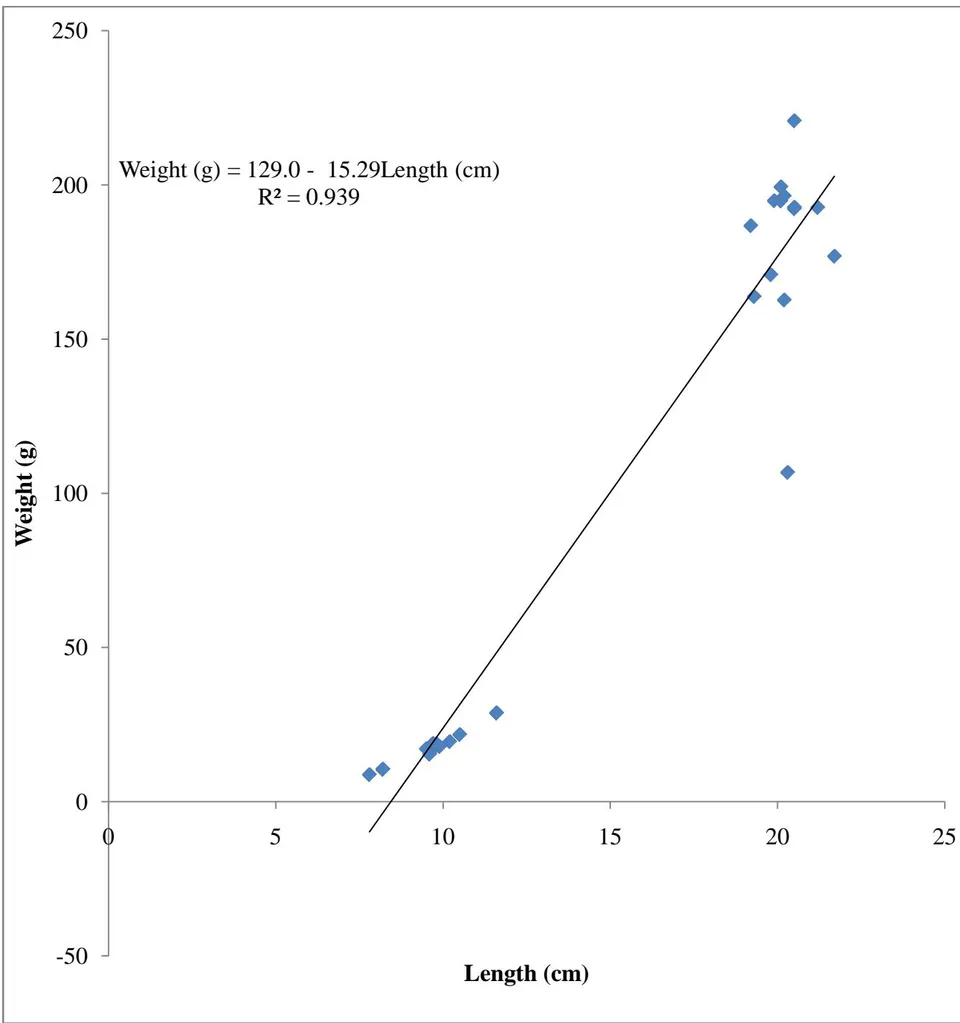 Figure 2: Length-Weight Relationship of Female Oreochromis niloticus from Wudil River