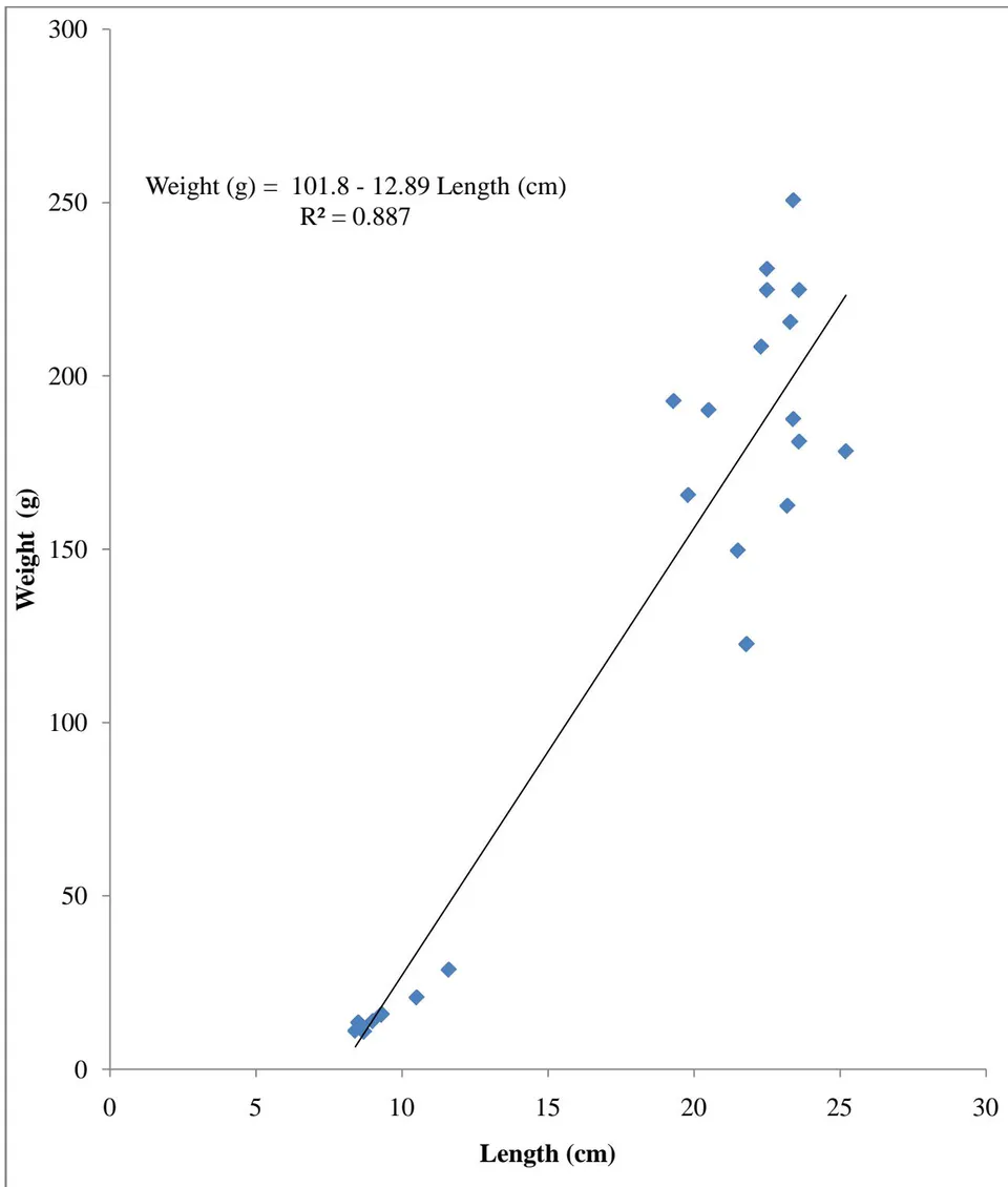 Figure 1: Length-Weight relationship of male Oreochromis niloticus from Wudil River