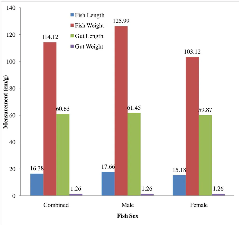 Figure 4: Fish and Gut length and Weight of Oreochromis niloticus from Wudil River