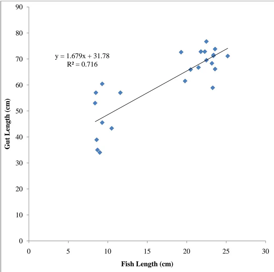 Figure 6: Gut length - Fish Length relationship of Male Oreochromis niloticus in Wudil River