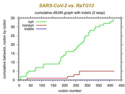Figure 4: Abnormal distribution of synonymous and non-synonymous mutations in Spike revealed by the comparison between RaTG13 and SARS-CoV-2. Synonymous and non-synonymous mutations are analyzed between closely related coronaviruses on large viral proteins: A. Spike (S), B. Orf1a, C. Orf1b, and D. Nucleocapsid (N). In each panel, the left graph is the comparison between the two bat coronaviruses ZC45 (MG772933) and ZXC21 (MG772934), while the right graph is the comparison between SARS-CoV-2 (NC_045512) and RaTG13 (MN996532). In each graph, the accumulative growth of synonymous mutations (green curve), non-synonymous mutations (red curve), and in-frame deletions (blue curve) are depicted, respectively. Initial sequence alignment was done using EMBOSS Needle, which was followed by codon alignment at www.hiv.lanl.gov. Synonymous nonsynonymous analyses were performed using SNAP also at www.hiv.lanl.gov ^{40}.