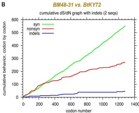 Figure 8: Abnormal distribution of synonymous and non-synonymous mutations in Spike associated with pangolin coronaviruses. A. Comparison between MP789 and P4L (MT040333.1). B. Comparison between the two bat coronaviruses BM48-31 and BtKY72.