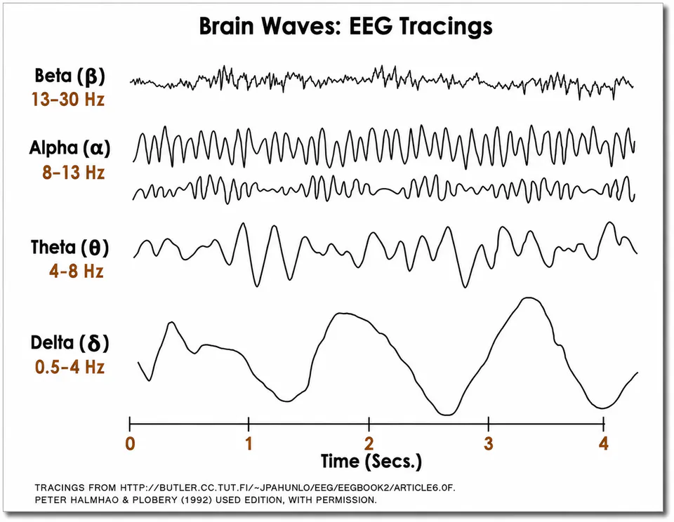 In questa figura sono rappresentate le curve caratteristiche di un EEG.