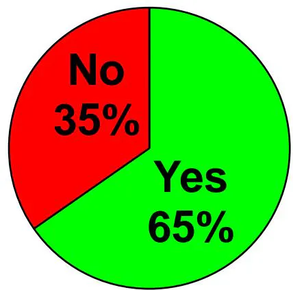 Figure 14: Ambler survey result of Adopting agile methodology (www.ambysoft.com)