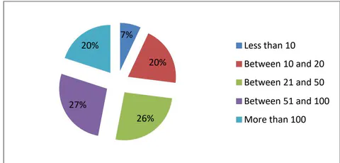 Figure 11: Employees' in software development in organizations