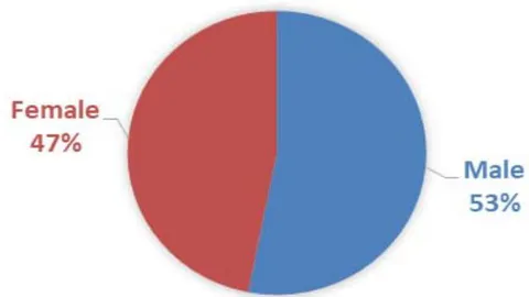 Figure 5: The pie chart of gender classification