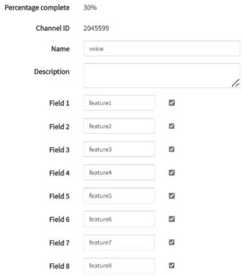 Figure 2: The voice channel settings