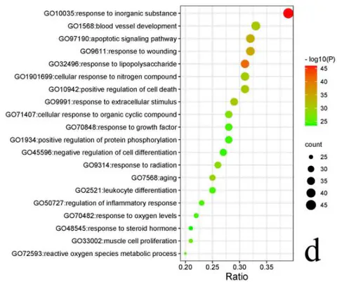 Fig. 6: Enrichment bubble plots of GO&KEGG pathway enrichment analysis