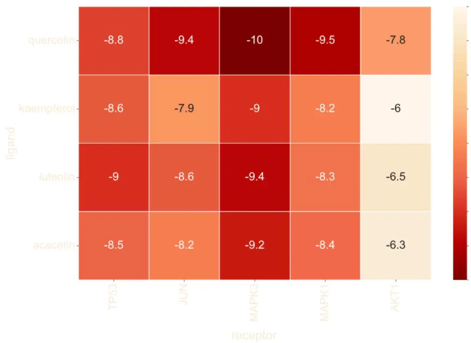 Fig. 7: The heat map of the affinity score