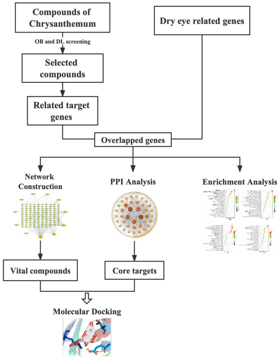 Fig.1: Flow chart of the experimental design