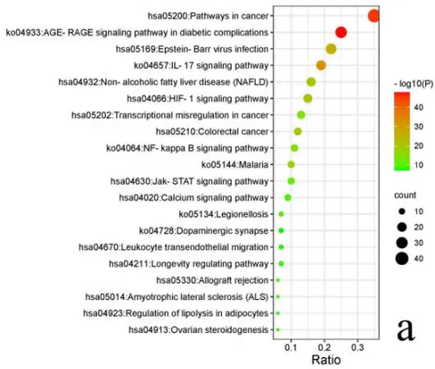 Fig. 5: Top25 targets by degree value