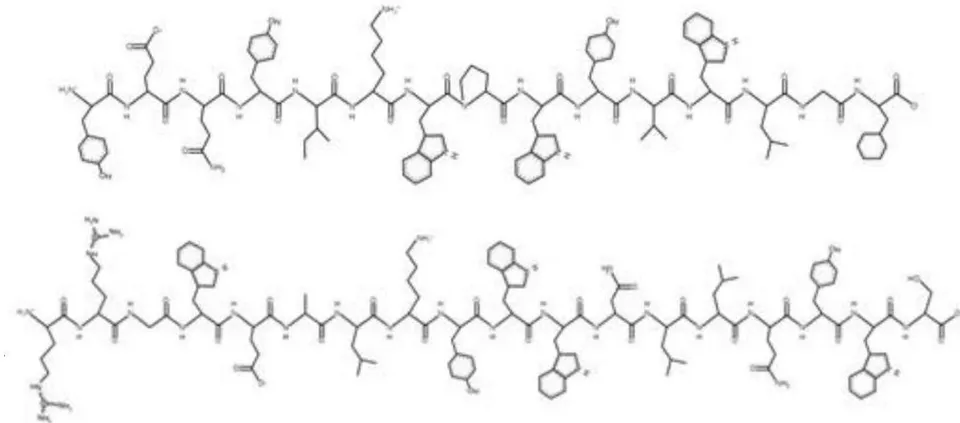 Figure 7: Structural equivalence of the highly aromatic and basic destructive region between the COVID-19 virus (above) and the AIDS virus (below). Taken from Gallaher & Gallaher, 2020