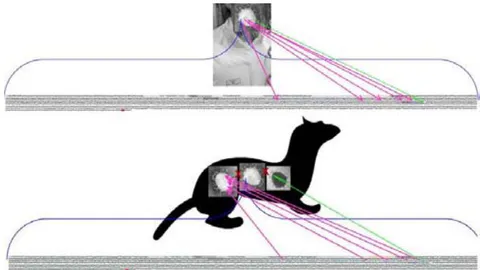 Figure 9: The two competing hypothesis for the current presence of COVID-19: Upper: Ha: The Sars-CoV-2 virus originated in a laboratory and was released from there. In the image, the main suspect researcher, and this movie says more about her: https://www.youtube.com/watch?v=XMJ0EmMfb3U, performing the mixture of at least those three elements (but it can be more, as the international research on it is just starting): 1) The backbone of a bat (the blue bracket in the photo), 2) the targeted insertion of the optimal RBD (in pink, transmitting only 0.06% of the complete sequence, which is a natural impossibility ad to inherit only such small amount of NTs and no more traces in a non-existent anywhere else “recombination” between two viruses), and 3) the additional insertion of the 12-bases of unknown origin (in green, the “Furin (and most importantly “Plasmin”) Cleavage Site”, being just a small 0.04% of all of the sequence, again, being impossible in nature that only that portion and nothing else could be left by a improbable “recombination” between a third virus), optimal for the protease cleavage in order for the RNA of the virus to penetrate into the human cells. Lower: Ho: The Sars-CoV-2 virus originated in animals and from there it passed into humans. In this image, a ferret (also present in the Wuhan Lab), needed the injection of the engineered virus seen in Ha for the necessary passage to make it look more natural; but that then, also takes us back to the Ha option; or, the other mythological explanation: an animal had a so bad luck and was invaded by several viruses: a virus from a bat, which received with great precision only the specific sequences that make optimal the attachment to the human ACE2 receptor, similar to a virus from a pangolin, without leaving any other recombinant trace, then a third virus arriving to the same animal (or, making it harder, to a second animal having received the previously “targeted recombinant virus”, and as I mention, again all of this can be easily done in a lab), putatively belonging to a bacteria (even if the cover-up attempts it to look as if it were from a different kind of bat), inserting only and specifically in its key place and nowhere else, the 12-bases for the PRRA cleavage site.