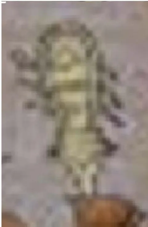 Fig. 3: The nucleotides divide in the air like an image in the mirror with electron transfer
