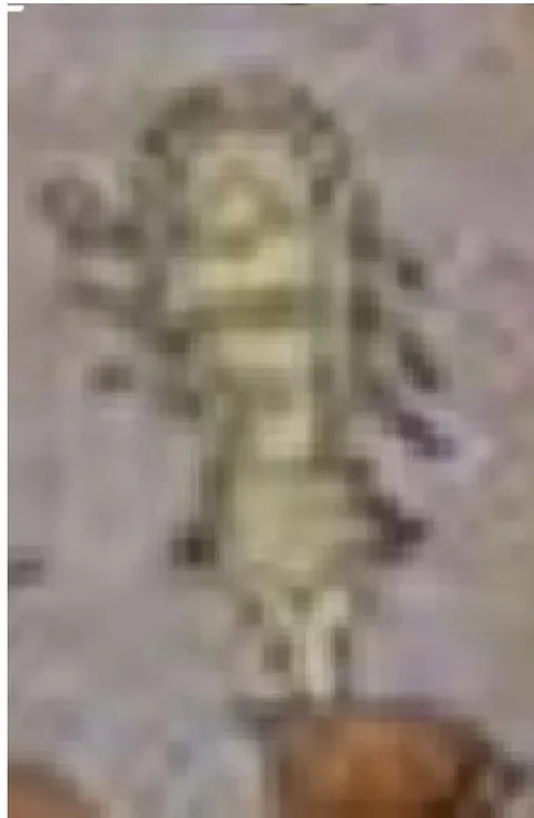 Fig. 2: Ultra-resolution image of DNA with Electron transfer
