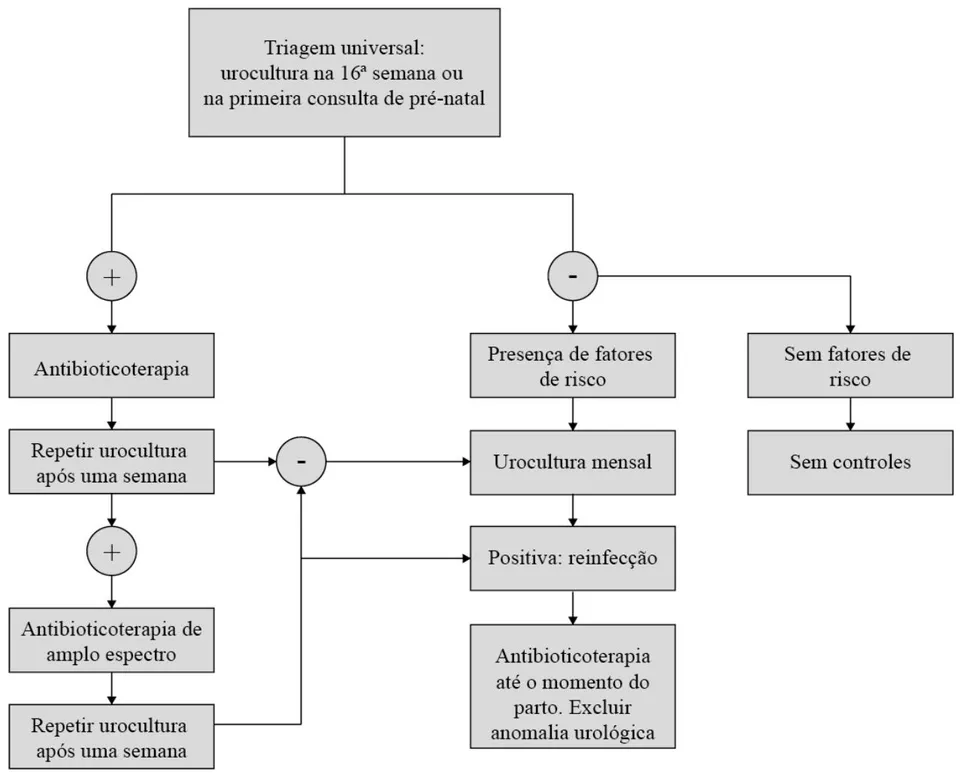 Figura 1: Fluxograma da Bacteriúria Assintomática Adaptado d ÁNGE HERÁzl Infección del acto uinario aebrazada. Enfermedades Ifecciosas Microbiología Clínica, v. 23, p. 43, dez. 2005.