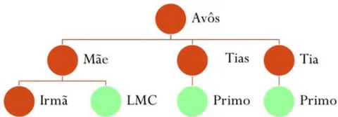 Figure 3: Patient Family history showing two childhood deaths of first-degree male cousins