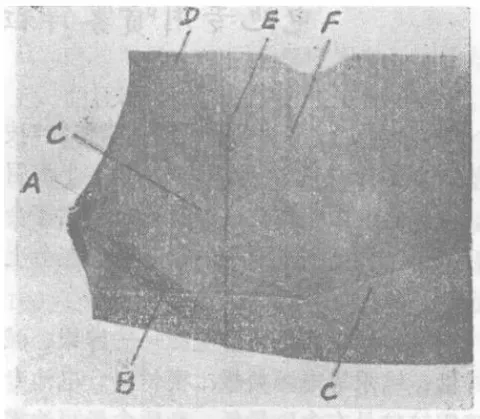 Fig. 8: X-ray projection topography returned by the error at the end of the crystal;