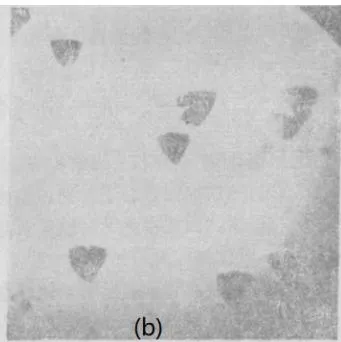 Fig. 17: Etching pits for microdefects (a) and dislocations (b)