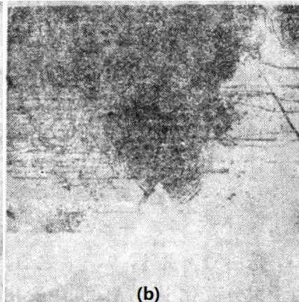 Fig. 35: Shows the X-ray topographies of the dislocation introduced by the edge of the diffusion zone