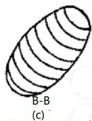 Fig. 19: Silicon Wafer cutting, Grinding and polishing observation and Analysis