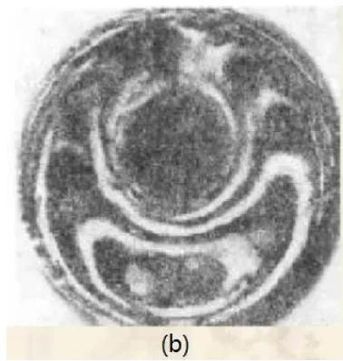 Fig. 18: Vortex distribution of microdefects