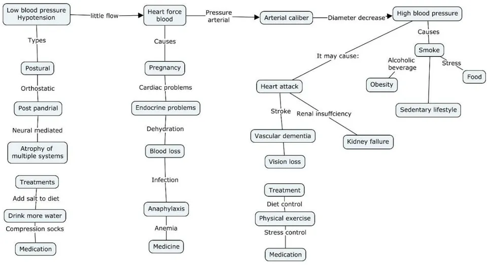 Figure 06: A2: Complex blood pressure relations