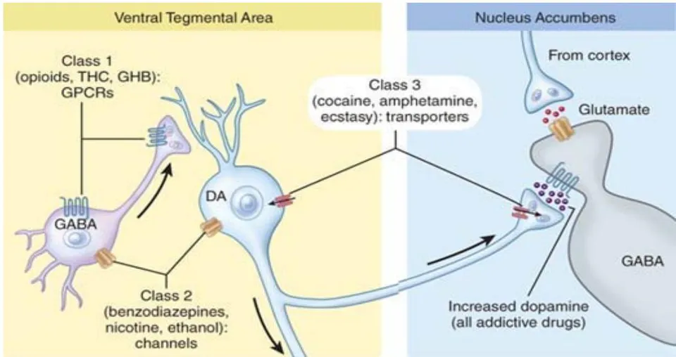 Figure 1: Neuropharmacology classification of addictive drugs by primary target[4].