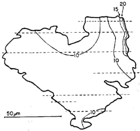 Figure 12: An olivine grain showing embayment features conforming to higher iron, (iron% shown by numbered contours) and therefore lower melting point regions, consistent with thermal ablation while falling through a dense atmosphere from space. Image taken from [Kerridge, and MacDougall 1976]