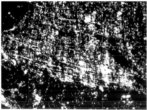 Figure 11: Lamellar features in a Cl clast, consistent with formation in a planetary gravity field. Image take from [Kerridge and Bunch 1979]