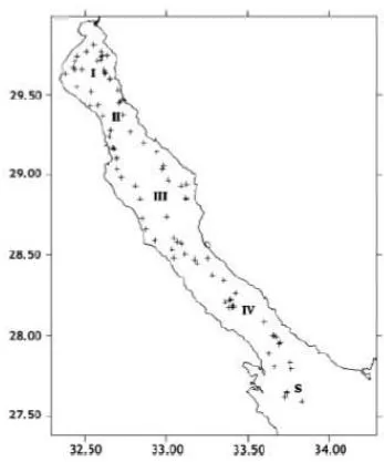 Figure 1: Gulf of Suez, with the distribution of Saurida undosquamis, (after Yousif, 2003)