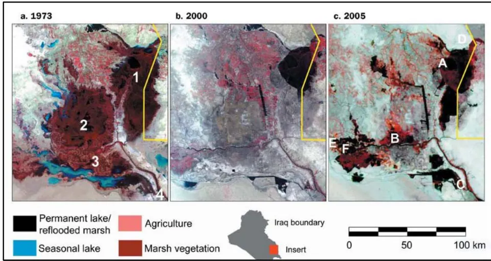 Figure 2: Changes in the coverage of the marshes' areas. 1 and A) Al-Huwaiza Marsh, 2 and B) Al-Qurna Marsh, 3 and B) Al-Hammar Marsh, C and 4) Al-Hammar, and D) Al-Sanaf, E) Abu Zarag, and F) Suq Al-Shuyukh marshes (From Richardson and Hussain 2006).
