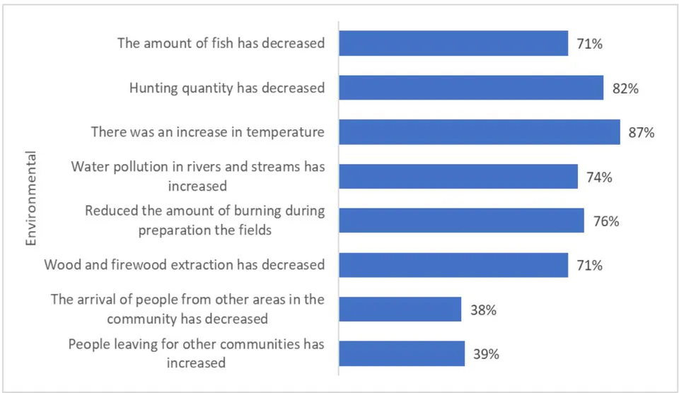 Figure 1: Interviewees' environmental perceptions.
