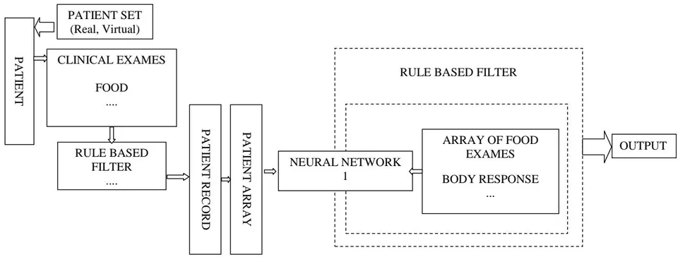 Fig. 1: This Figure Represents the Original Idea to Train A Neural Network to Distinguish an MS Patient from a Healthy One, as Well as "Memorizing" the Cases Seen in Training