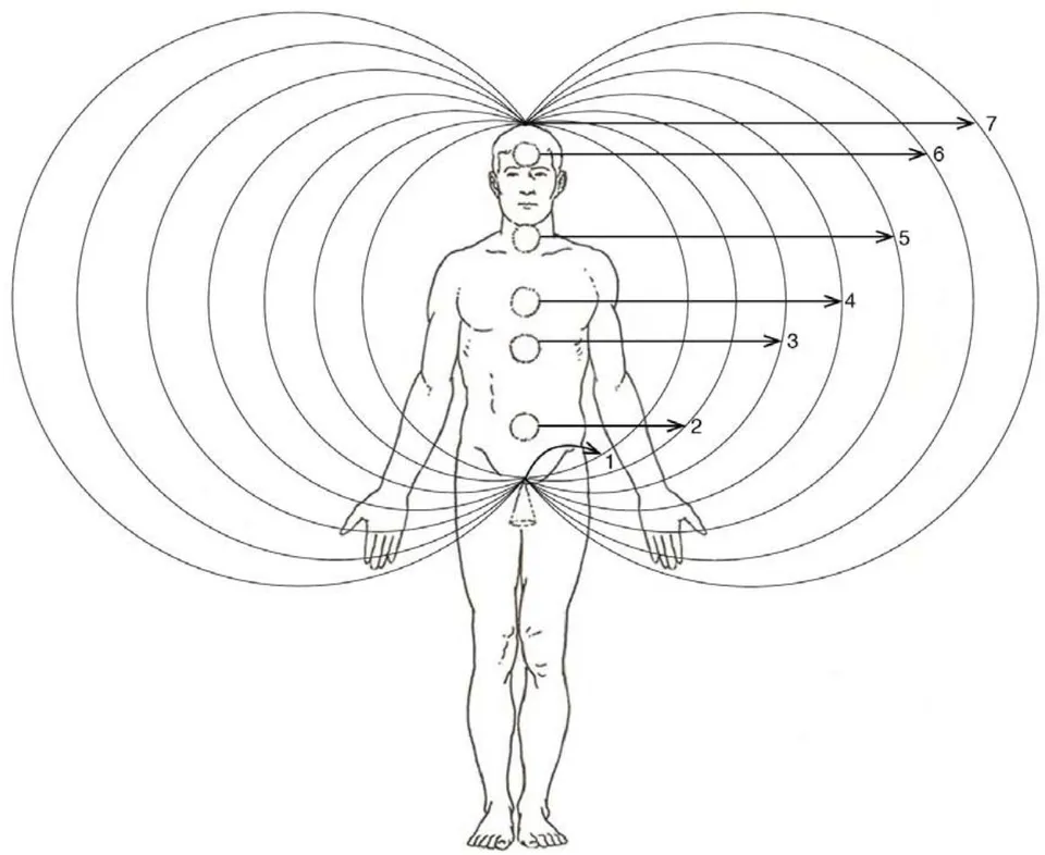 Fig. 3: The torus-shape electromagnetic field of a man