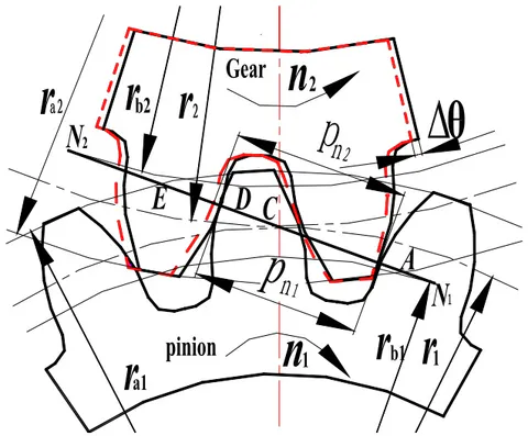 Fig. 1: The contact model of helical gear in transverse under heavy load
