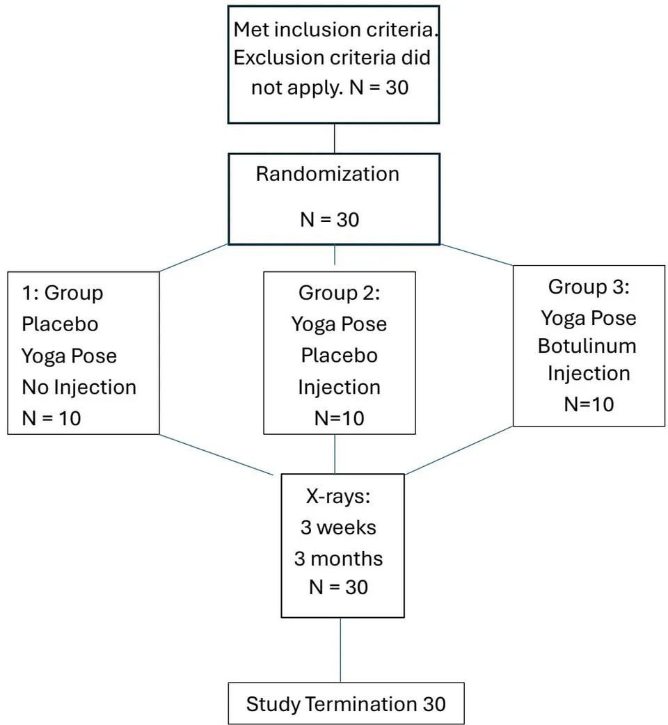Figure 1: Flow Chart