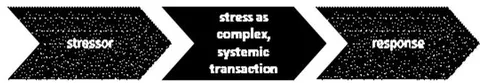 Figure 3: Theories of stress as response