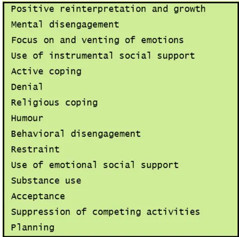 Figure 4: COPE Inventory. The COPE invent