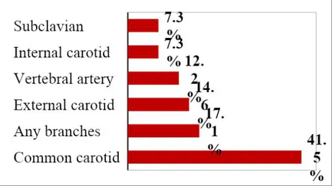 Figure 1: Name of Injured arteries: (n=42)