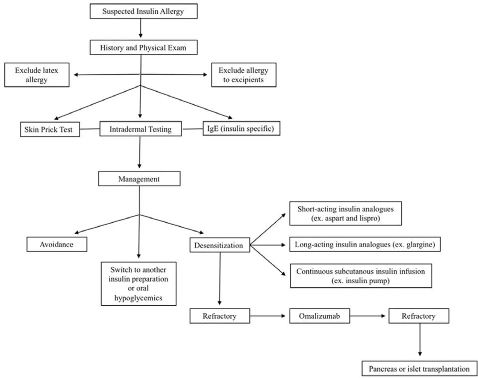 Fig 4: Flow Chart Showing the Evaluation and Treatment of Insulin Allergy (Sourced From Reference 1)