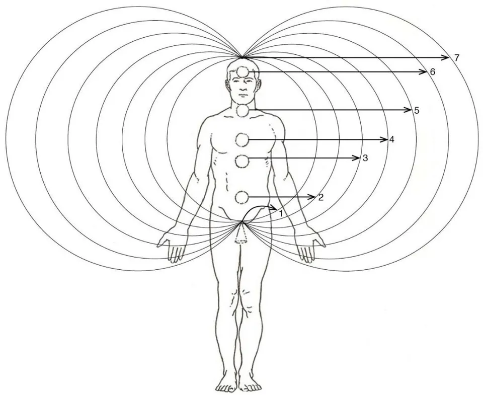 Fig. 1: The chain of alternating vortices and anti-vortices along the backbone of the men's aura NEMF and their corresponding quantum energy levels