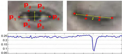 Fig. 4: Sample eye-blink capturing image, In respectively into p1-p6 facial coordinates