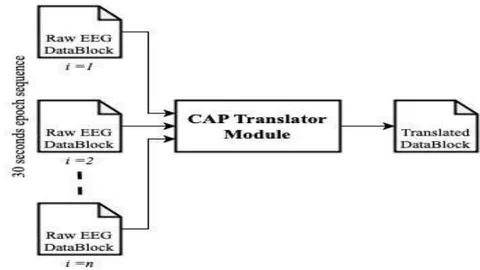 Fig. 8: Workflow of Raw EEG Translation process. The outputs are aggregated into a CAP data block