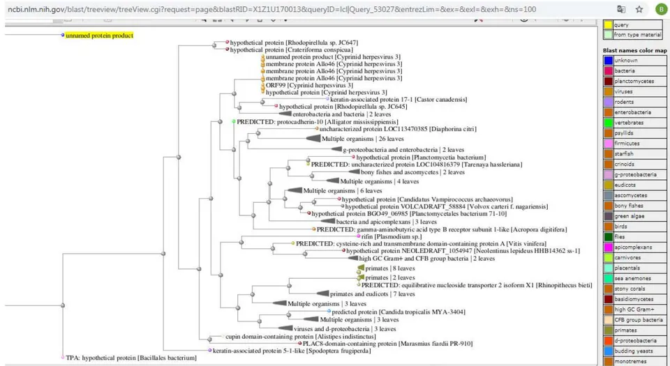 Figure 2: The NCBI (National Biotechnology Information Center) Result Blast Tree View Widget for "AUGUUGAUAUTAAUCATC" Nucleotide Sequence [4]