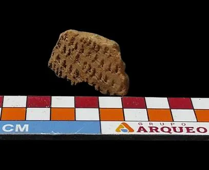 Nº do tombo: M.C:08. Largura:43mm. Comprimento:2,9cm. Espessura:07mm. Peso:15g.